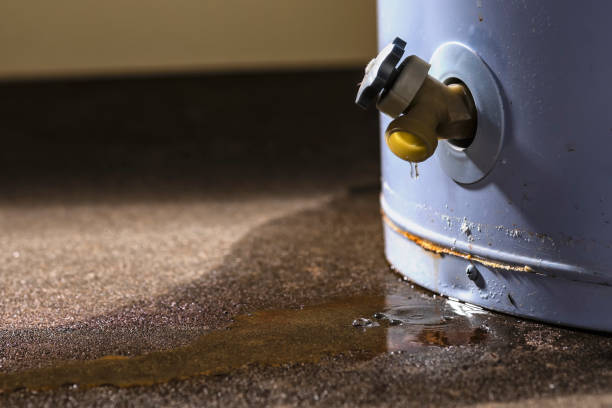 Best Flood damage cleanup  in Niagara Falls, NY