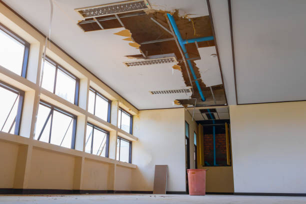 Best Water damage restoration mold remediation  in Niagara Falls, NY