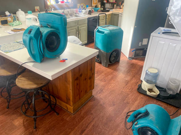 Best Professional water damage repair  in Niagara Falls, NY