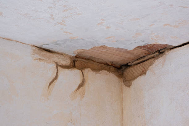 Best Basement water damage restoration  in Niagara Falls, NY
