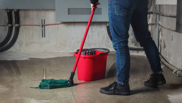 Best Ceiling water damage repair  in Niagara Falls, NY