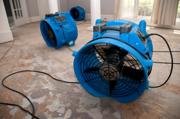Best Sewage cleanup and water damage restoration  in Niagara Falls, NY