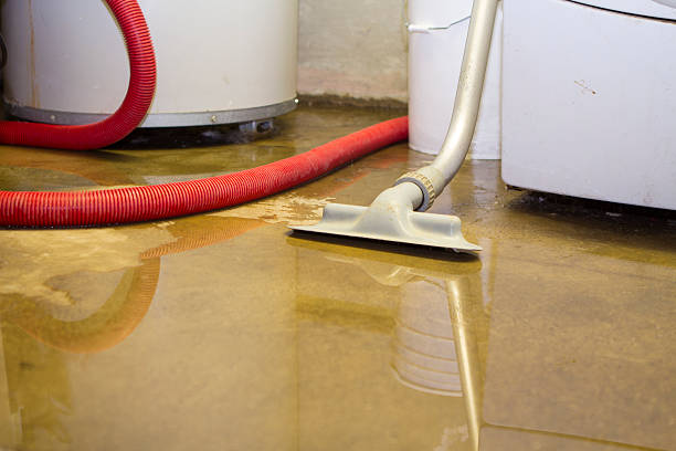 Best Flooded house restoration  in Niagara Falls, NY