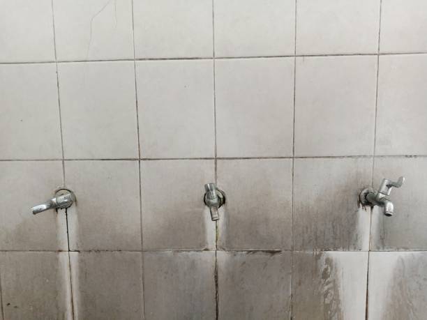 Best Local water damage restoration  in Niagara Falls, NY