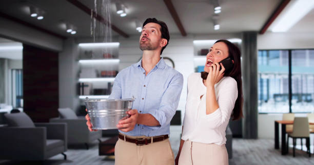 Best Mold removal after water damage  in Niagara Falls, NY